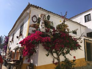 Casa caiada com arvore florida - Foto de Sylvia Leite - BLOG LUGARES DE MEMORIA
