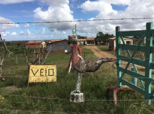 Entrada do Museu do Sertão - Foto de Sylvia Leite- BLOG LUGARES DE MEMORIA 