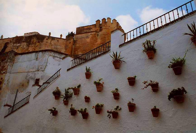 Parede caiada com vasos de flores em Arcos de La Frontera - Foto de Elisa.rolle em Wikimedia - BLOG LUGARES DE MEMORIA