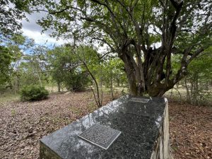 Túmulo_Antônio_Dó-Foto_Sylvia_Leite-BLOG_LUGARES_DE_MEMORIA