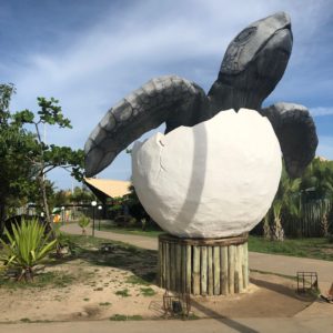Escultura de Tartaruga na unidade de Aracaju - Foto de Sylvia Leite - BLOG LUGARES DE MEMÓRIA