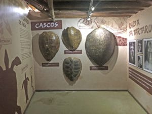 Trabalho de Educação ambiental - Foto Sylvia Leite - BLOG LUARES DE MEMÓRIA
