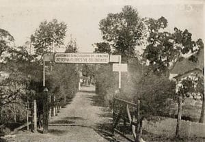 Foto histórica do Jardim Botânico do Rio - Foto JBRJ - BLOG LUGARES DE MEMÓRIA