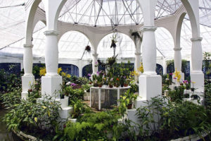 Orquidário do JBR - Foto de Ricardo Zerrener - Riotour - BLOG LUGARES DE MEMÓRIA
