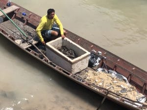 Pescador em seu barco com peixes no cais de Santarém - Foto de Sylvia Leite - BLOG LUGARES DE MEMORIA