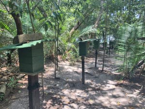 Colmeias de abelha jandaíra em Coroca - Foto de Sylvia Leite - BLOG LUGARES DE MEMÓRIA