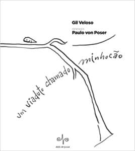 Capa de livro sobre o elevado - Divulgação - BLOG LUGARES DE MEMORIA