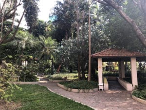 Jardim do hospital - Foto de Sylvia Leite - BLOG LUGARES DE MEMORIA