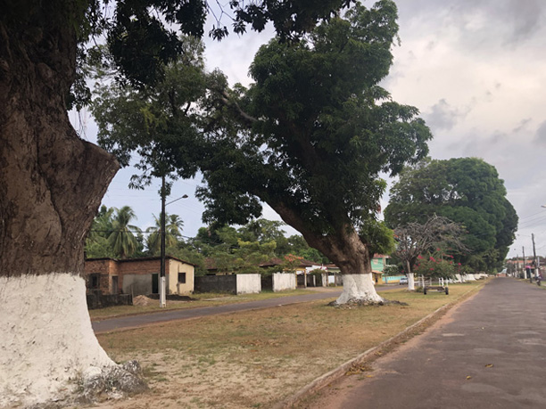 Tranquilidade na Ilha de Marajó - Foto de Sylvia Leite - BLOG LUGARES DE MEMÓRIA