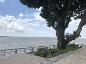 Vista do Jardim da Casa das Onze Janelas - Foto de Sylvia Leite - BLOG LUGARES DE MEMORIA