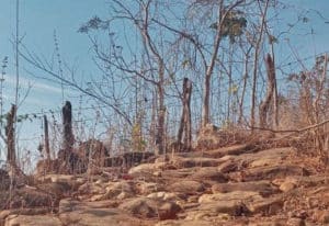Caminho dos Escravos - Foto de Edinaldo Soares - BLOG LUGARES DE MEMORIA