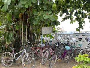 Bicicletas estacionadas no jardim da Igreja Matriz de Paquetá - Foto de Sylvia Leite - BLOG LUGARES DE MEMORIA