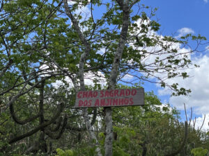 Placa do Cemitério dos Anjos no meio da vehgetação - Foto de Sylvia Leite - BLOG LUGARES DE MEMORIA