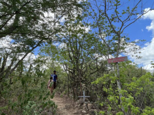 Trilha do Cemitério dos Anjos - Foto de Sylvia Leite - BLOG LUGARES DE MEMÓRIA