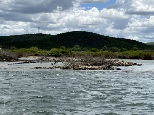 Vestigios da embarcação Moxoto - Foto de Sylvia Leite - BLOG LUGARE DE MEMORIA