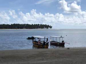 Praia dos Carneiros - Foto de Sylvia Leite - BLOG LUGARES DE MEMORIA