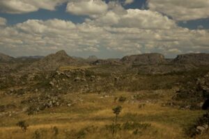 Parque Nacional das Sempre-vivas - Foto do site Museu da Vida Fiocruz - BLOG LUGARES DE MEMORIA