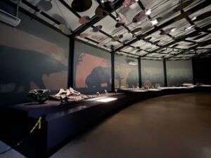 Sala da Megafauna no Museu da Natureza - Foto de Sylvia Leite - BLOG LUGARES DE MEMORIA
