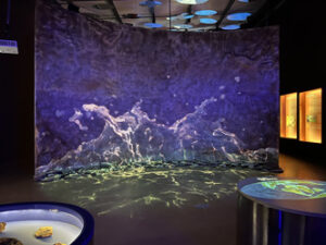 Instalação do mar no Museu da Natureza - Foto de Sylvia Leite - BLOG LUGARES DE MEMORIA