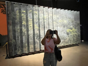 Painel Cerrado-Caatinga no Museu da Natureza - Foto de Sylvia Lete - BLOG LUGARES DE MEMORIA