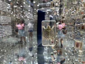 Sala do mobile gigante no Museu da Natureza - Foto de Sylvia Leite - BLOG LUGARES DE MEMORIA