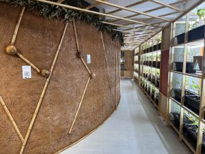 Exposição Nhe'e ry no Museu das Culturas Indígenas - Foto de Sylvia Leite - BLOG LUGARES DE EMEMORIA