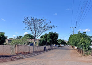 Rua do Sítio do Mocó - Foto de Sylvia Leite - BLOG LUGARES DE MEMORIA