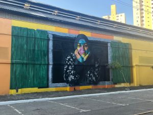 Detalhe_do_mural_de_Kobra_no_MI_Foto_de_Sylvia_Leite_BLOG_LUGARES_DE_MEMORIA