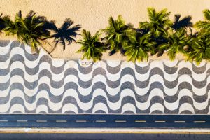 Calçadão de Copacabana e palmeiras - Foto de Donatas Dabravolskas - BLOG LUGARES DE MEMORIA
