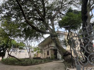Vista geral da Casa de Dona Yaya - Foto de Sylvia Leite - BLOG LUGARES DE MEMORIA