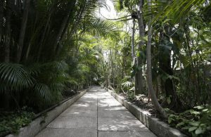 Caminho no jardim do Edificio_Matarazzo- Foto de Cesar Ogata em Fotos Públicas - BLOG LUGARES DE MEMORIA