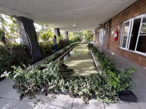 Lago de carpas no Edificio Matarazzo - Foto de Sylvia Leite - BLOG LUGARES DE MEMORIA