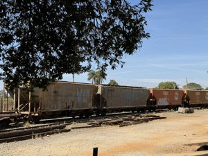 Vagões_à _espera_de_restauro_Foto_de_Sylvia_Leite-BLOG_LUGARES_DE_MEMORIA