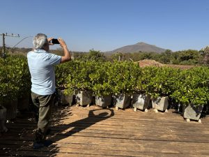 Viajante_fotografa_o_Morro_à_distancia_-_Foto_de_Sylvia+Leite_-_BLOG_LUGARES_DE_MEMORIA