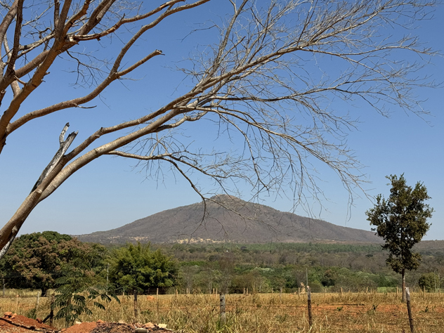 Vegetação_do_cerrado_com_Morro_da_Garça_ao_fundo-Foto_de_Sylvia_Leite-BLOG_LUGARES_DE_MEMORIA