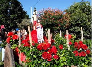 Morro do Fogo: a terra do milagre de São Sebastião São_Sebastião_no_Carro_de_bois-Foto_Rose_Almeida-BLOG_LUGARES_DE_MEMORIA