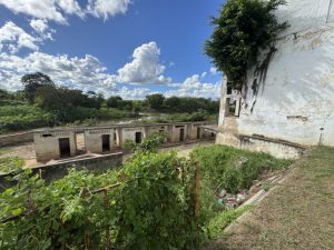 Ruínas_balneário_Cipó-Foto_Sylvia_Leite-BLOG_LUGARES_DE_MEMORIA