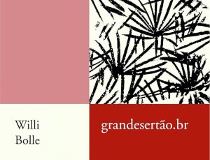 Livro_grandesertao-Foto_divulgaçao-BLOG_LUGARES_DE_MEMORIA