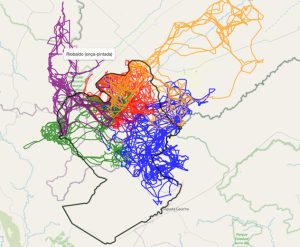 Mapa_deslocamento_onças_ParnaGSV-Imagem_Onçafari_ParnaGSV-BLOG_LUGARES_DE_MEMORIA